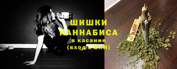 гидра Касимов