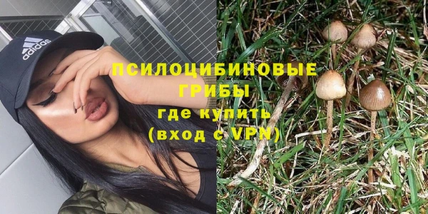 ешки Карпинск