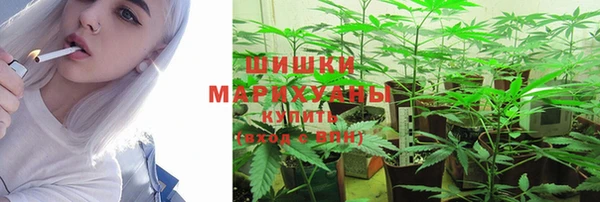 ешки Карпинск
